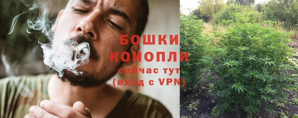 первитин Бородино